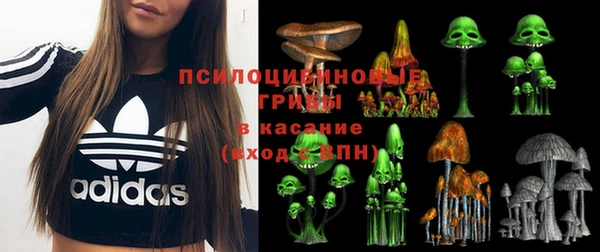 амф Струнино