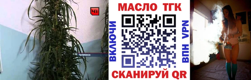 закладка  Циолковский  ТГК гашишное масло 